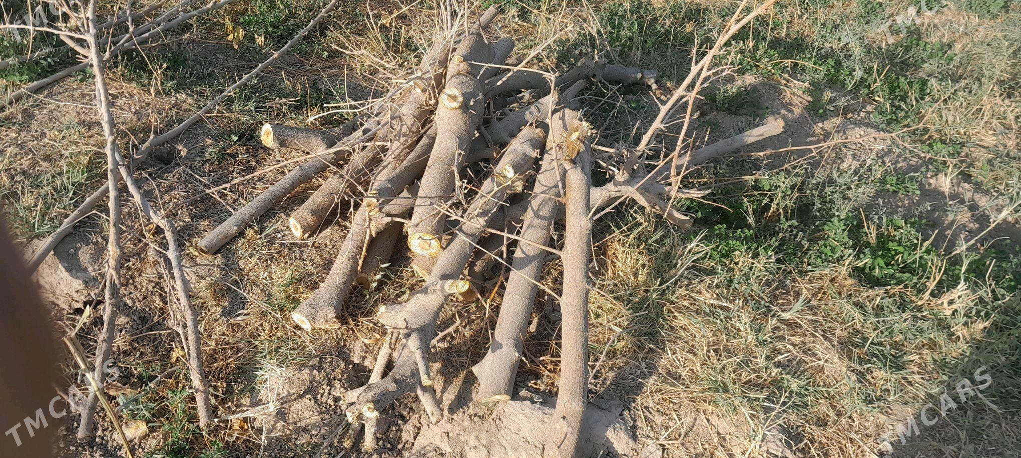 Töññe - Векильбазар - img 3