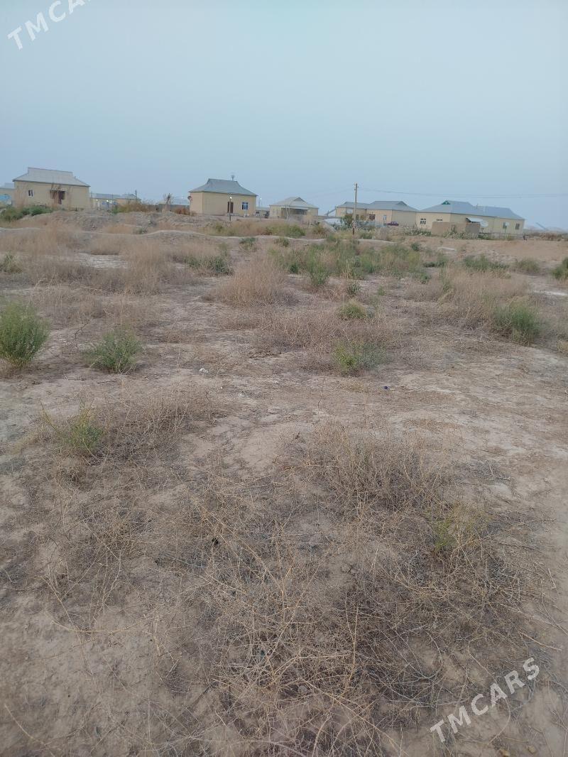 Satlyk mellek yer Mary ak goňu - Векильбазар - img 5