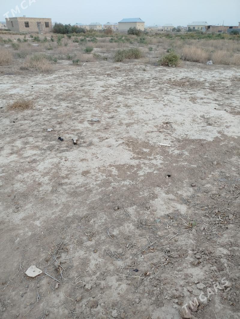 Satlyk mellek yer Mary ak goňu - Векильбазар - img 1