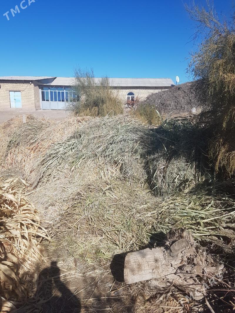 Abmene ot yorunjayam bar - Farap - img 2