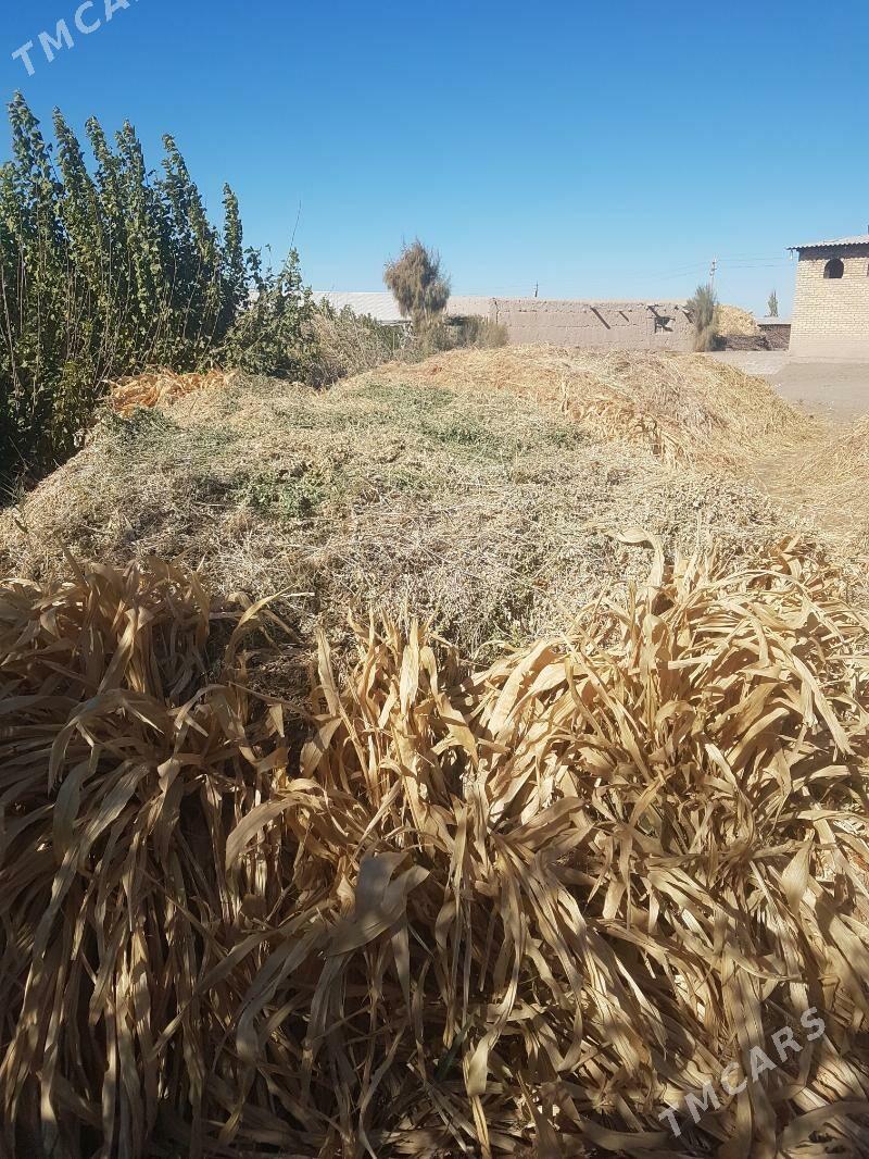 Abmene ot yorunjayam bar - Farap - img 3