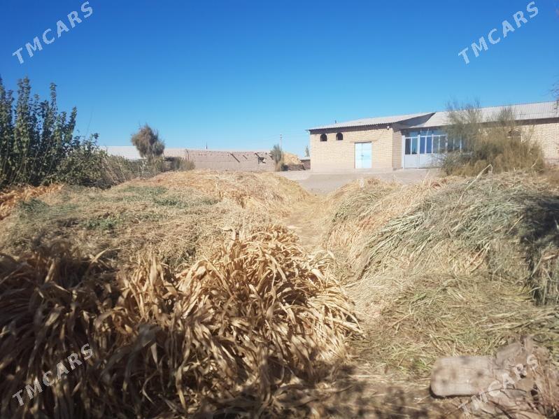 Abmene ot yorunjayam bar - Farap - img 4