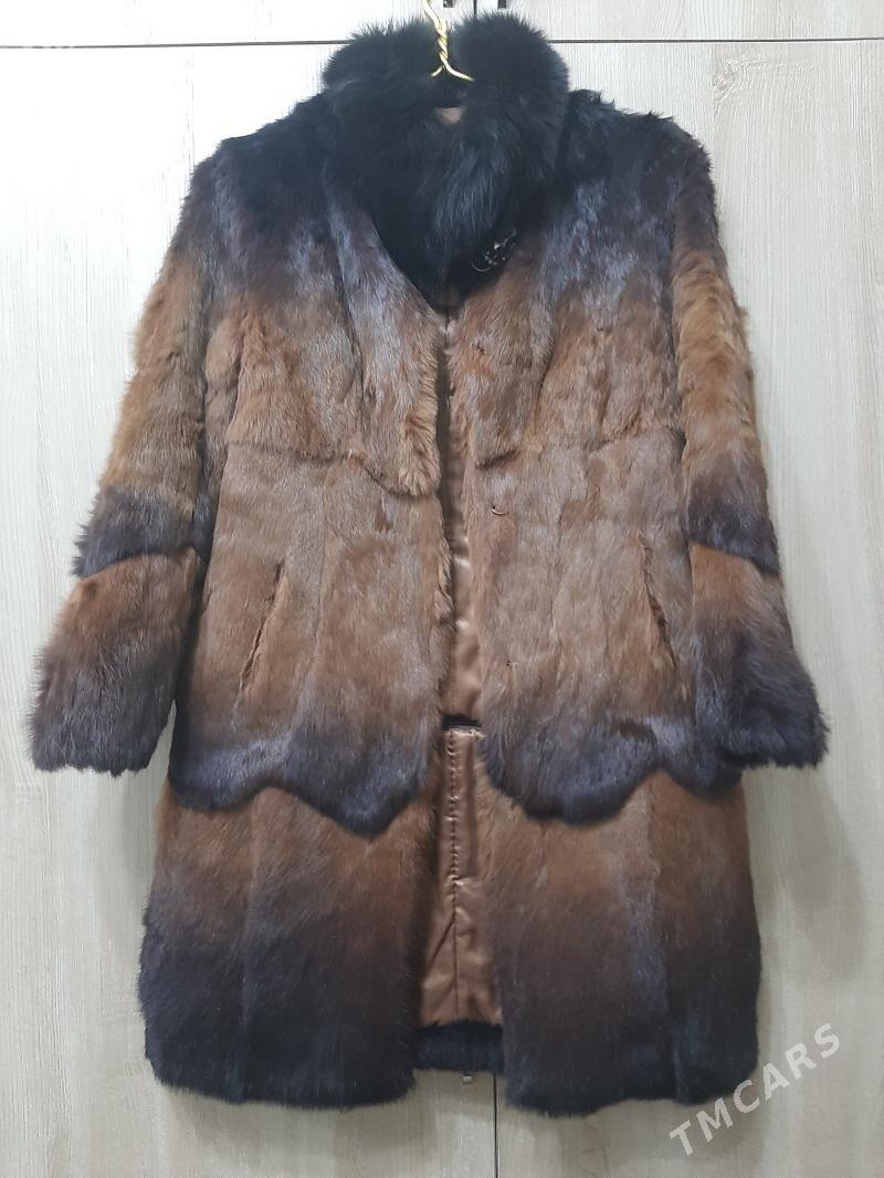 şuba - Hitrowka - img 1