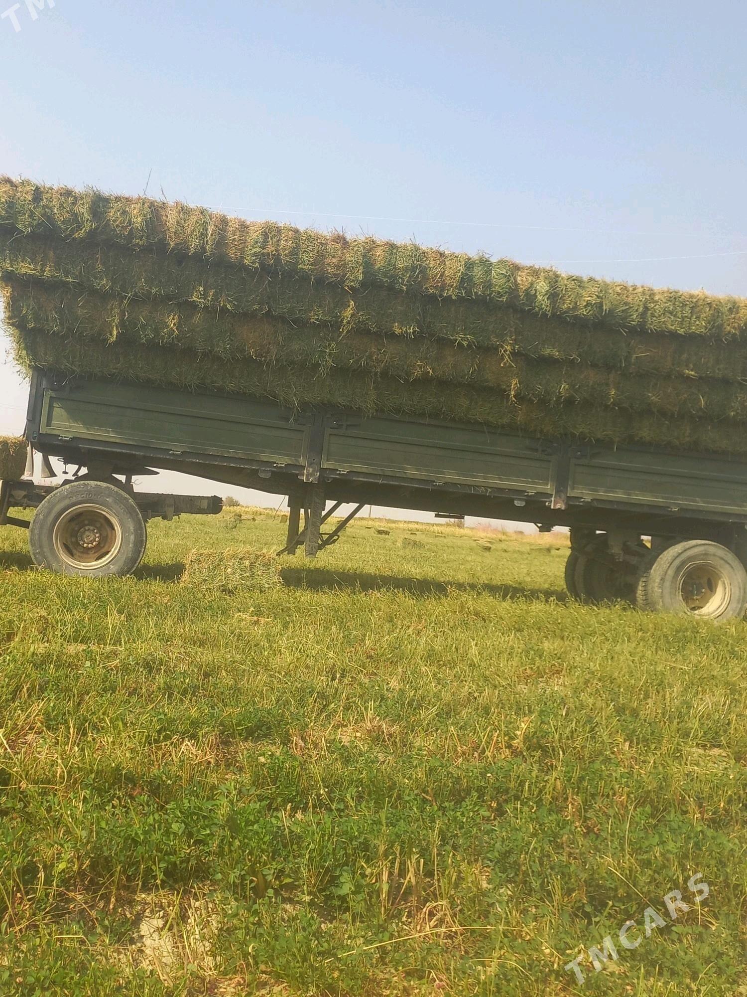 Bede ýorunja - Бахарден - img 1