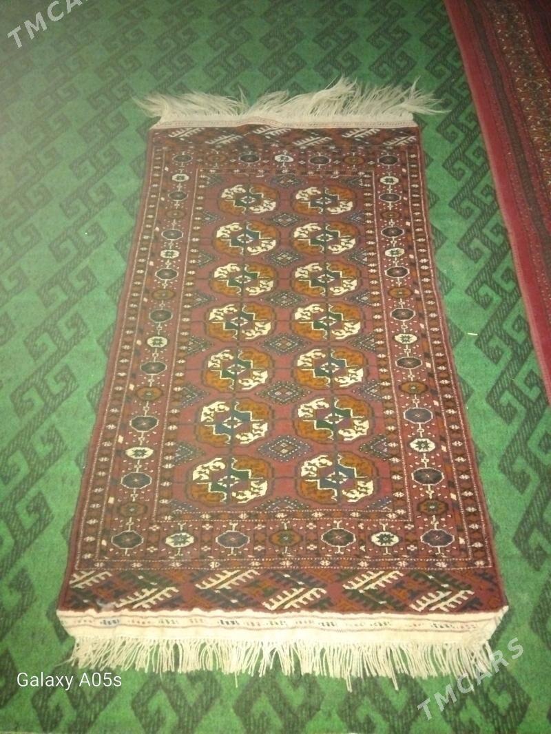 El haly - Mary - img 4