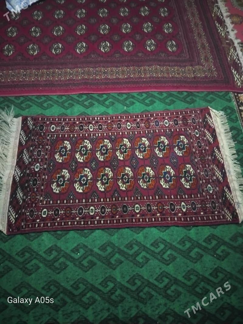 El haly - Mary - img 3