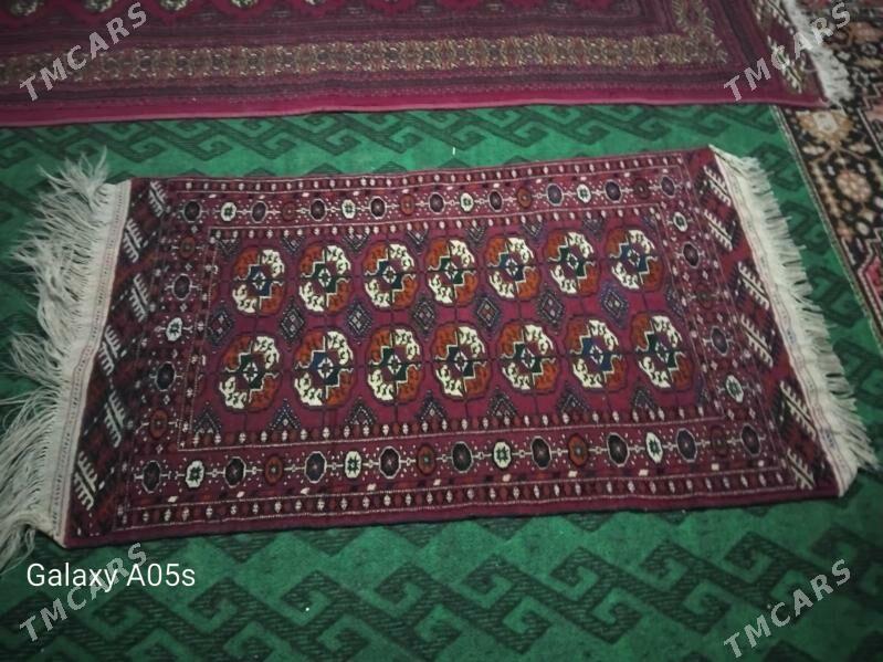 El haly - Mary - img 2