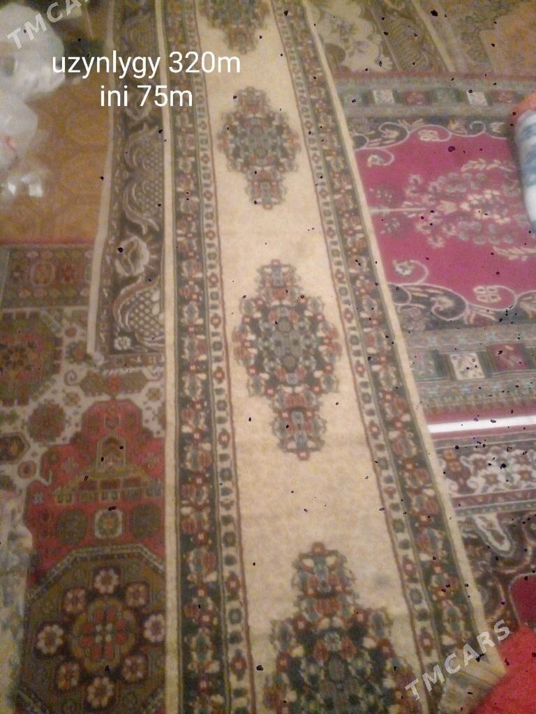 haly - Aşgabat - img 1