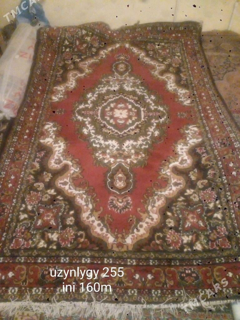 haly - Aşgabat - img 3