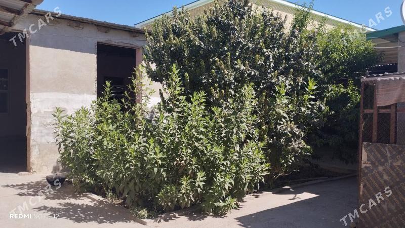 Сатлык жай - Туркменабат - img 5