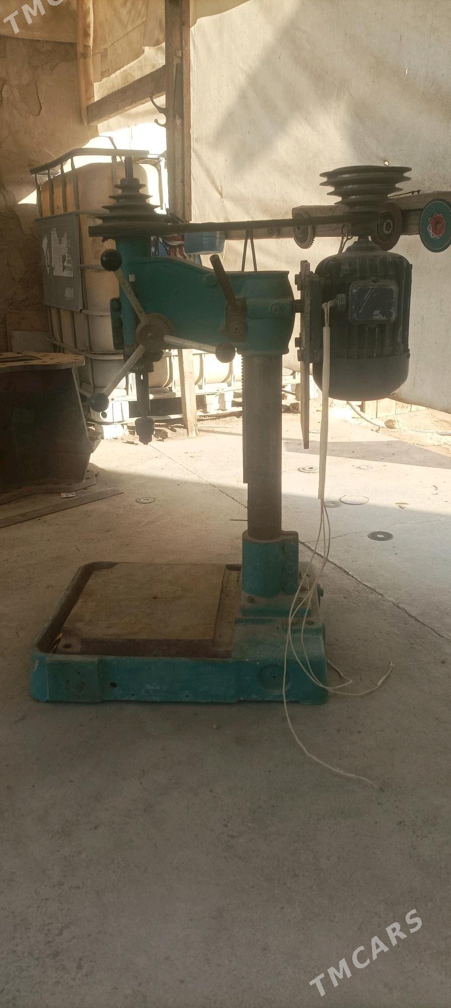 tokorny drel - Sakarçäge - img 2