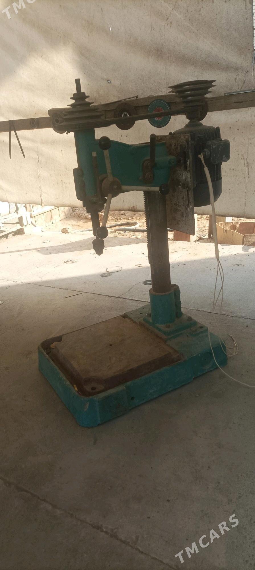 tokorny drel - Sakarçäge - img 3