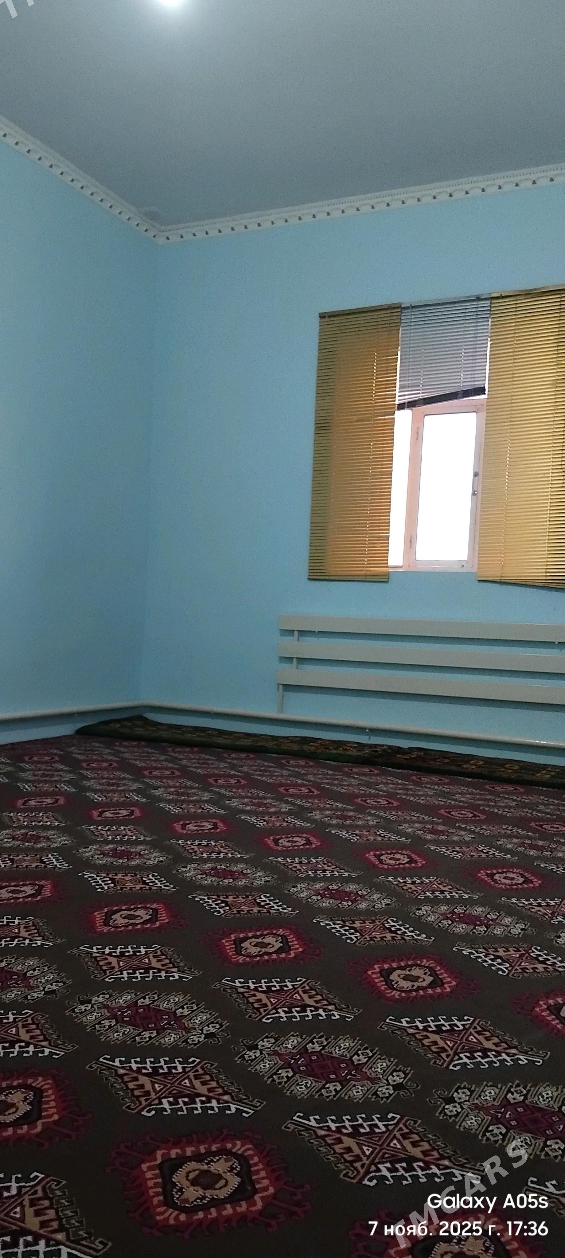 satlyk plan Jay 16 sotok. - Köneürgenç - img 3