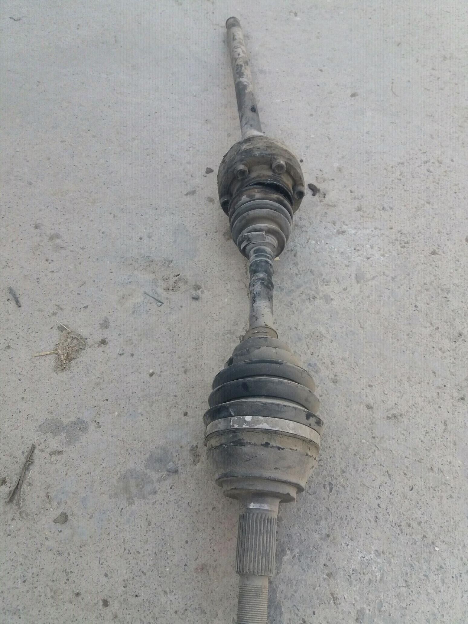 Gyranat 1 300 TMT - Бахарден - img 1