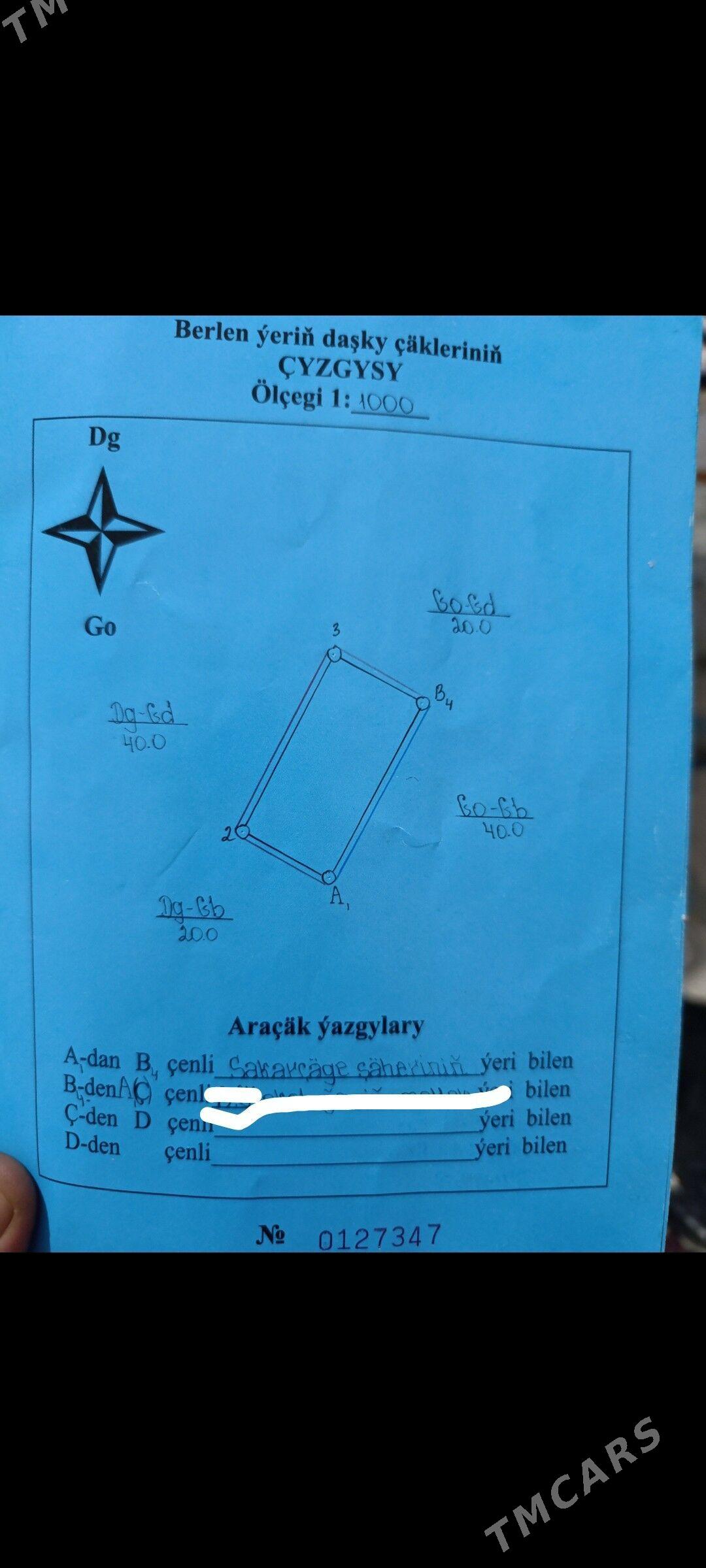 satlyk mellek - Sakarçäge - img 2