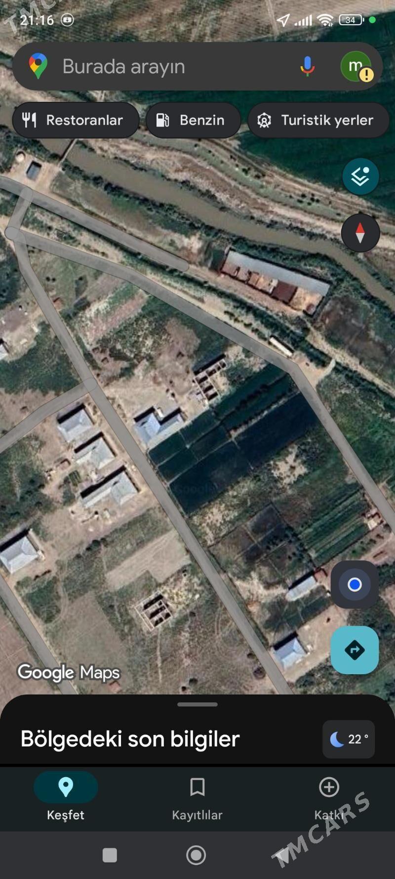 satlyk mellek - Sakarçäge - img 4