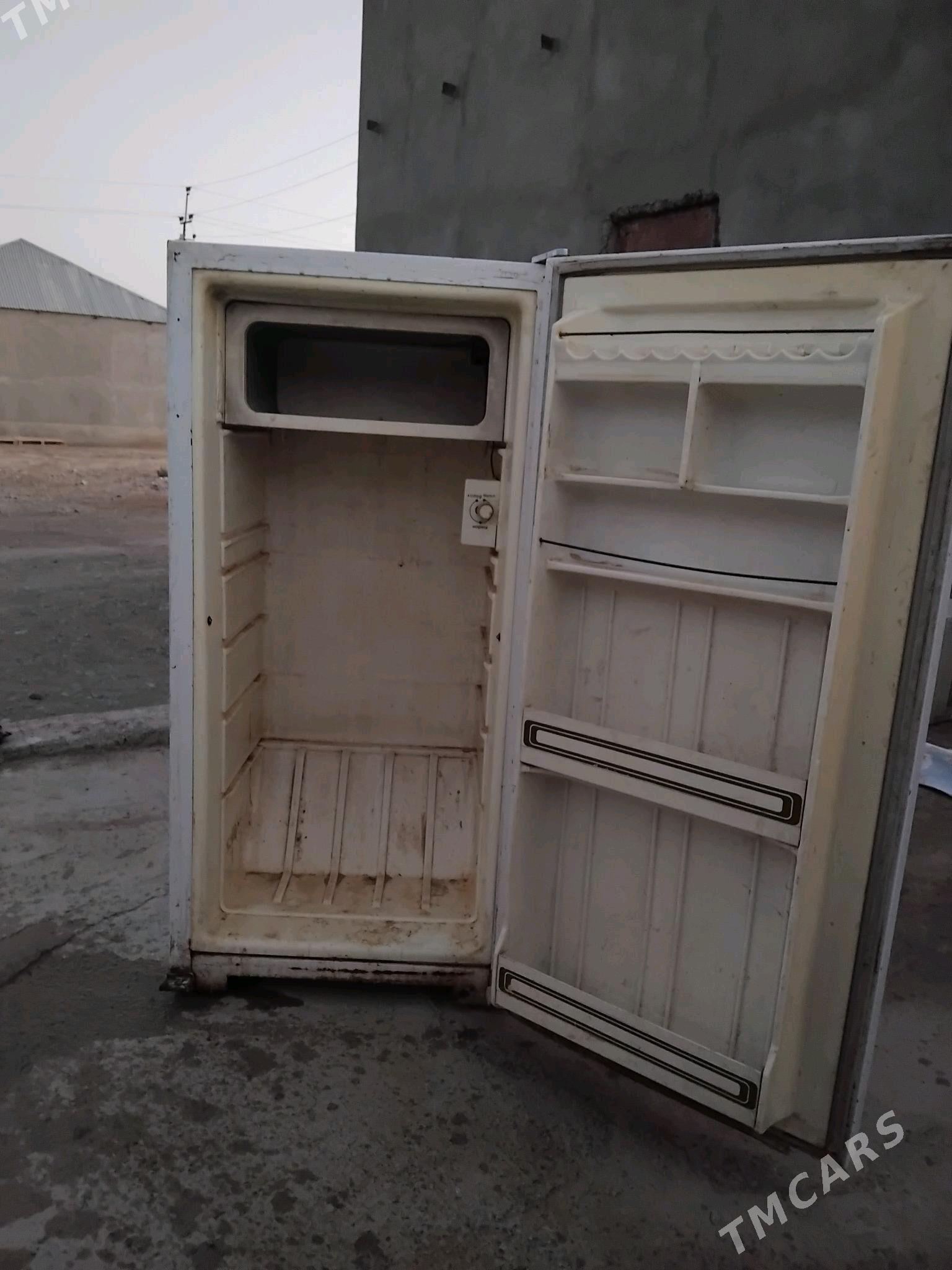 holadinlik - Яшлык - img 2