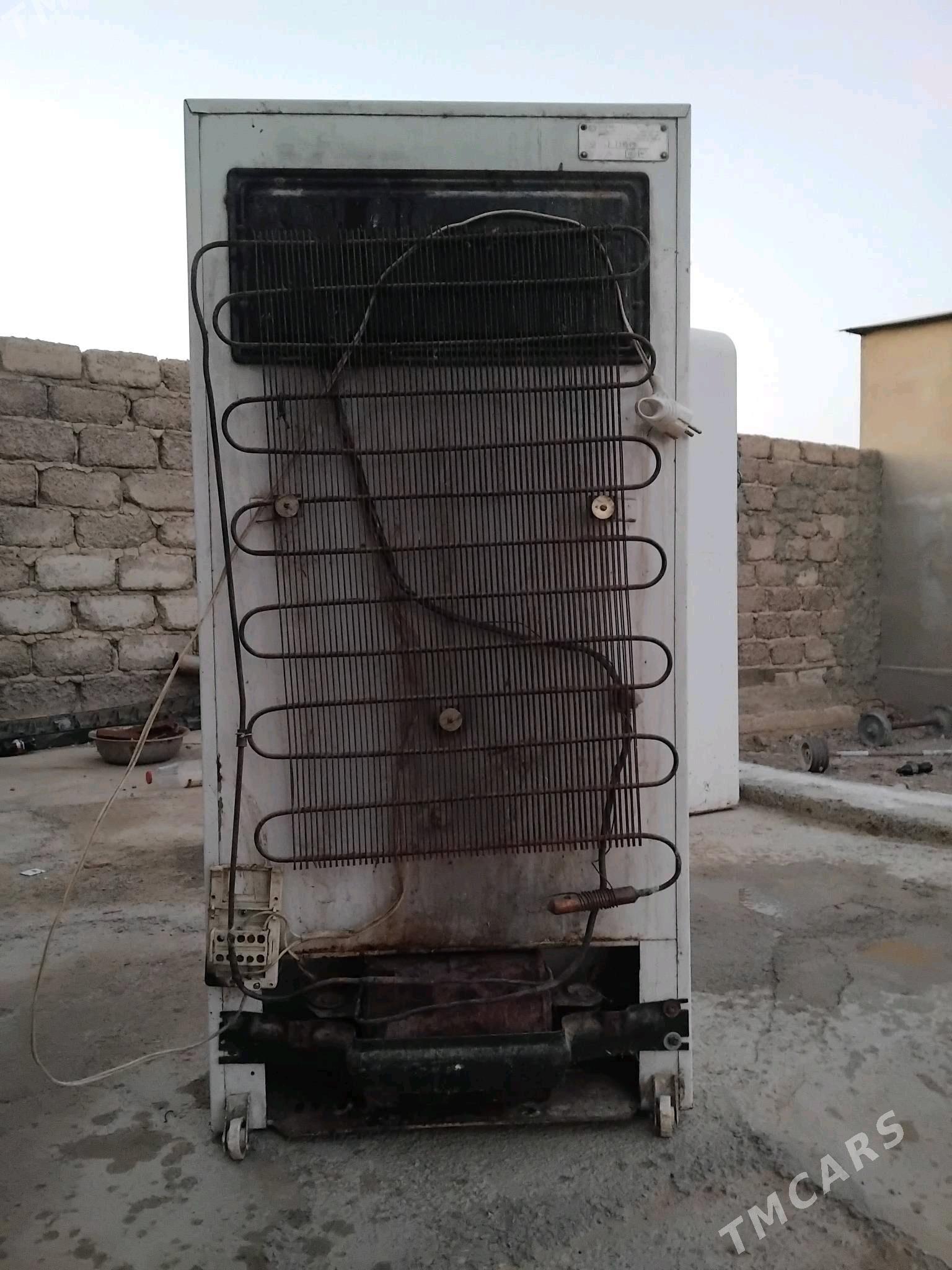 holadinlik - Яшлык - img 3