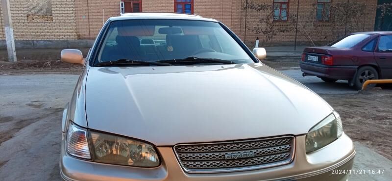 Babycka degisli zatlary satylk 4 000 TMT - Türkmenabat - img 1