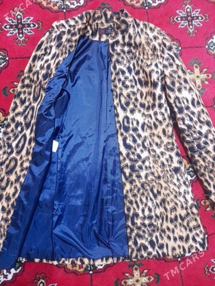 penjak - Hitrowka - img 3