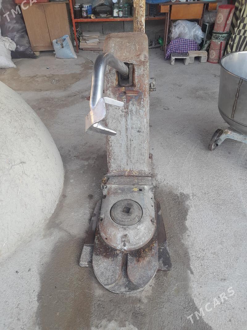 Hamyr garyan - Кипджак - img 4