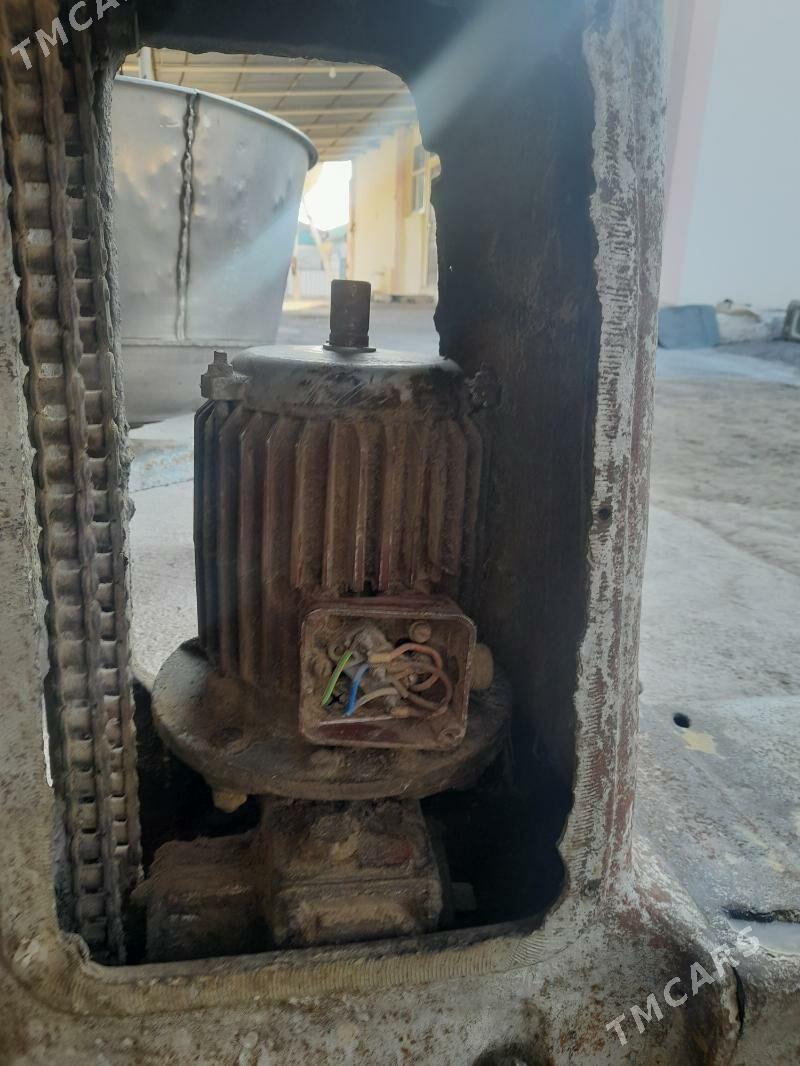 Hamyr garyan - Кипджак - img 6