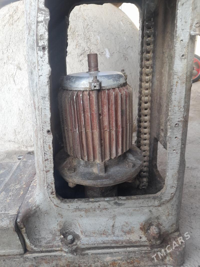 Hamyr garyan - Кипджак - img 5