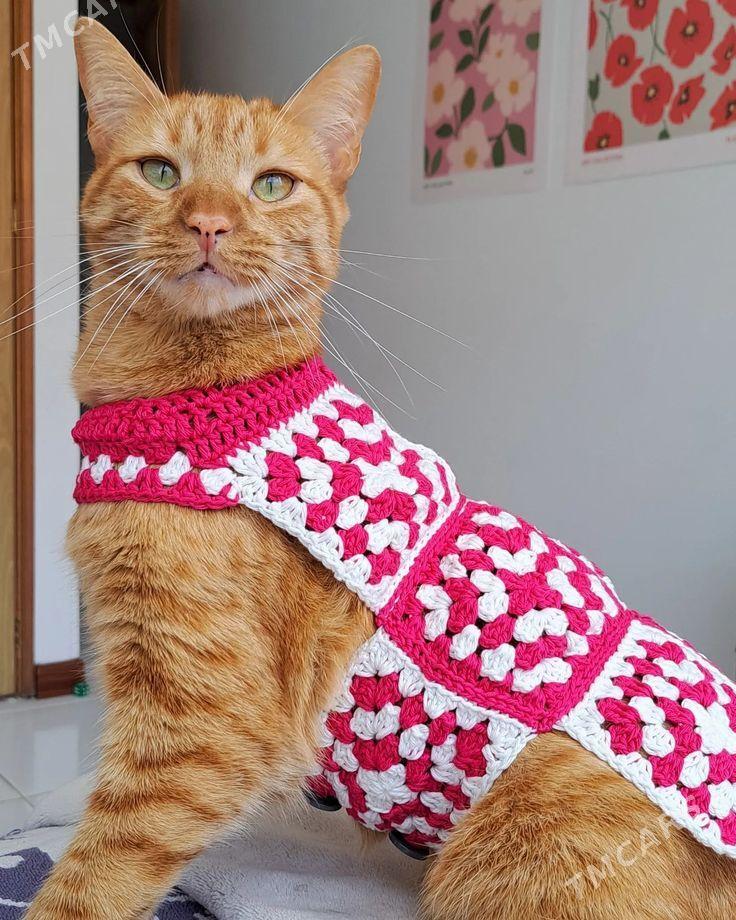 Вязаная одежда для питомцев ​ - Parahat 3 - img 5