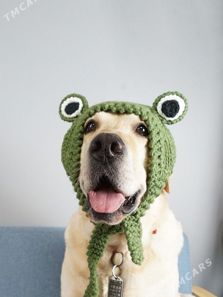 Вязаная одежда для питомцев ​ - Parahat 3 - img 3