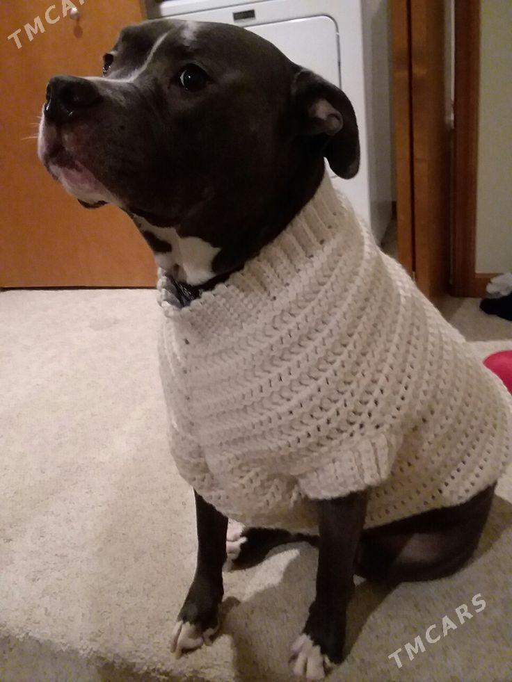 Вязаная одежда для питомцев - Parahat 3 - img 1