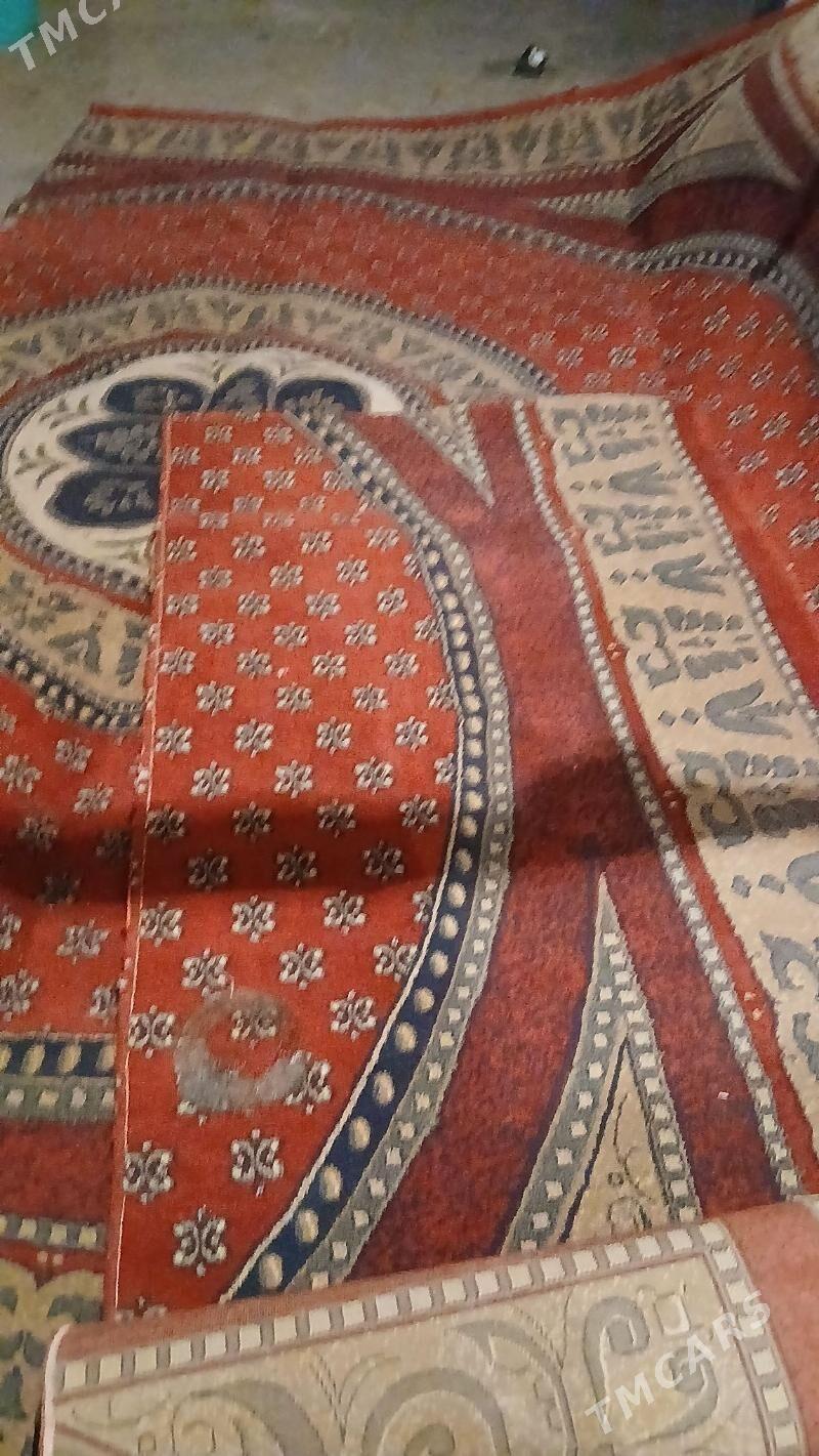 haly - Hitrowka - img 1