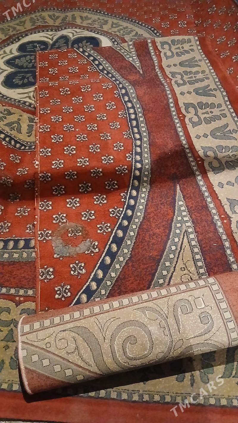 haly - Hitrowka - img 2