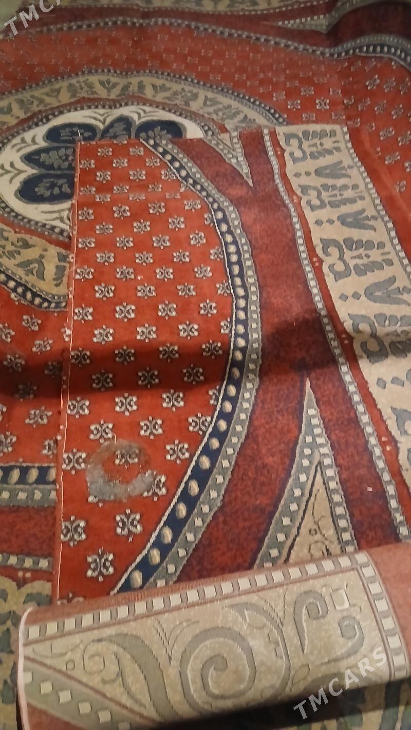 haly - Hitrowka - img 3