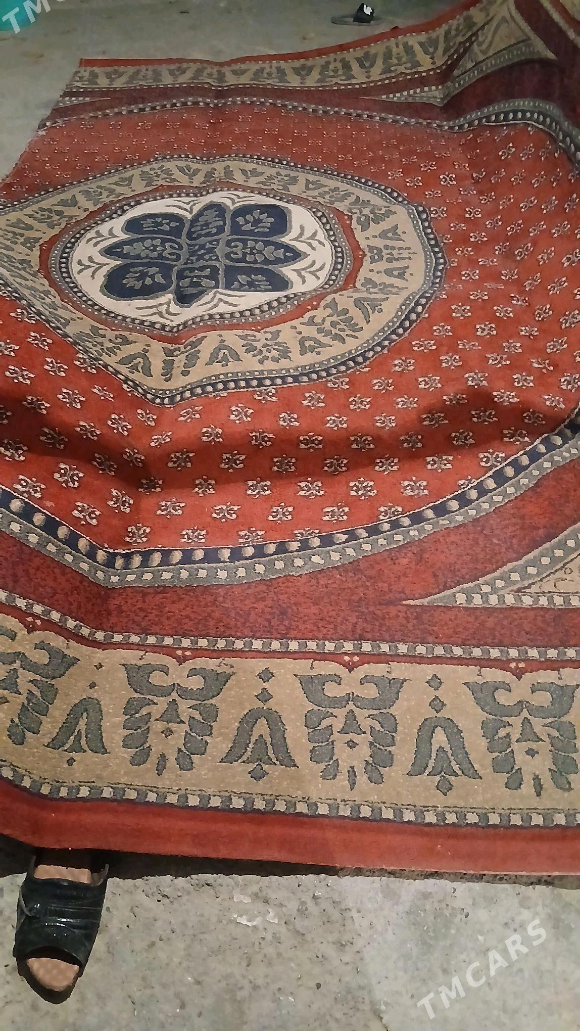 haly - Hitrowka - img 4