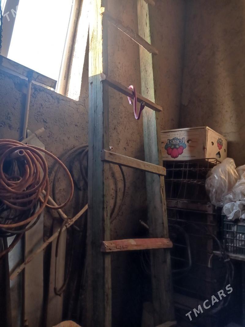 Merdiwan - Мары - img 2