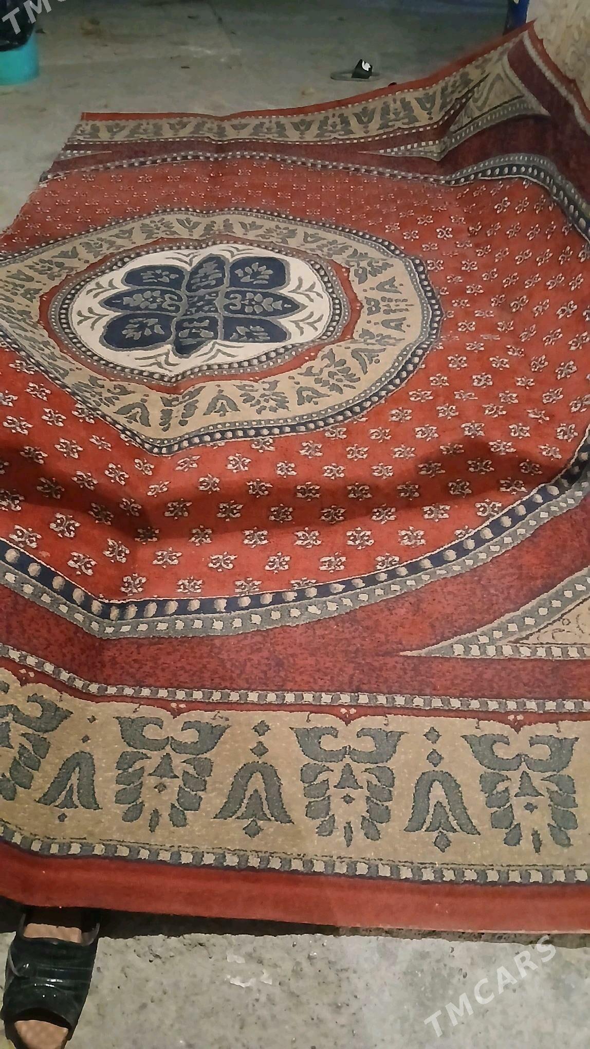 haly - Hitrowka - img 5