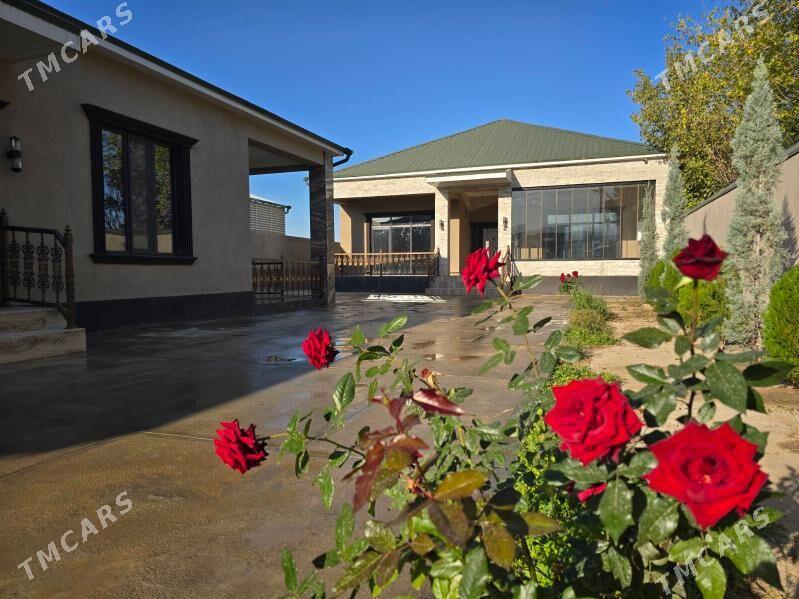 Bagyr Mirewe Gokje Bekrewe Баг - Багир - img 1