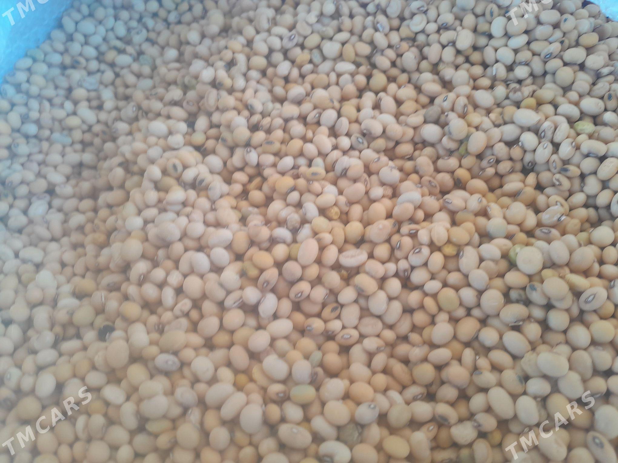 Soýa tohumy - Байрамали - img 4