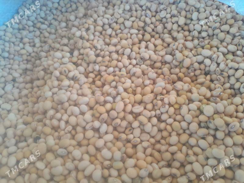 Soýa tohumy - Байрамали - img 3