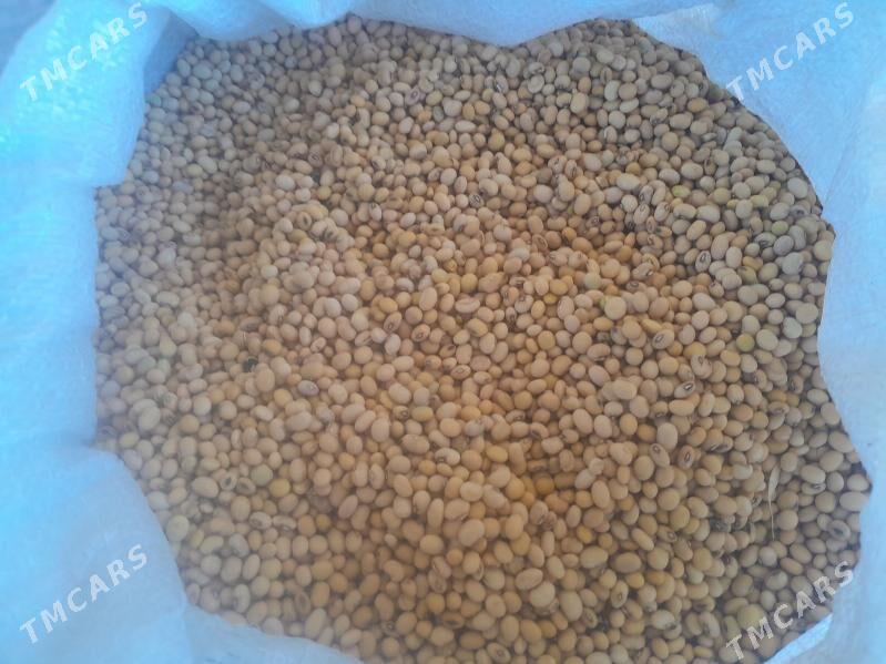 Soýa tohumy - Байрамали - img 2