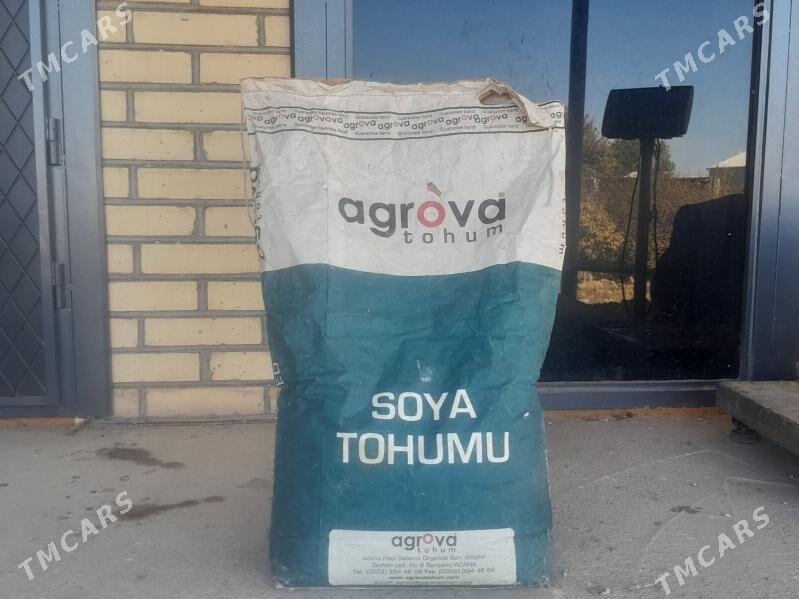 Soýa tohumy - Байрамали - img 1