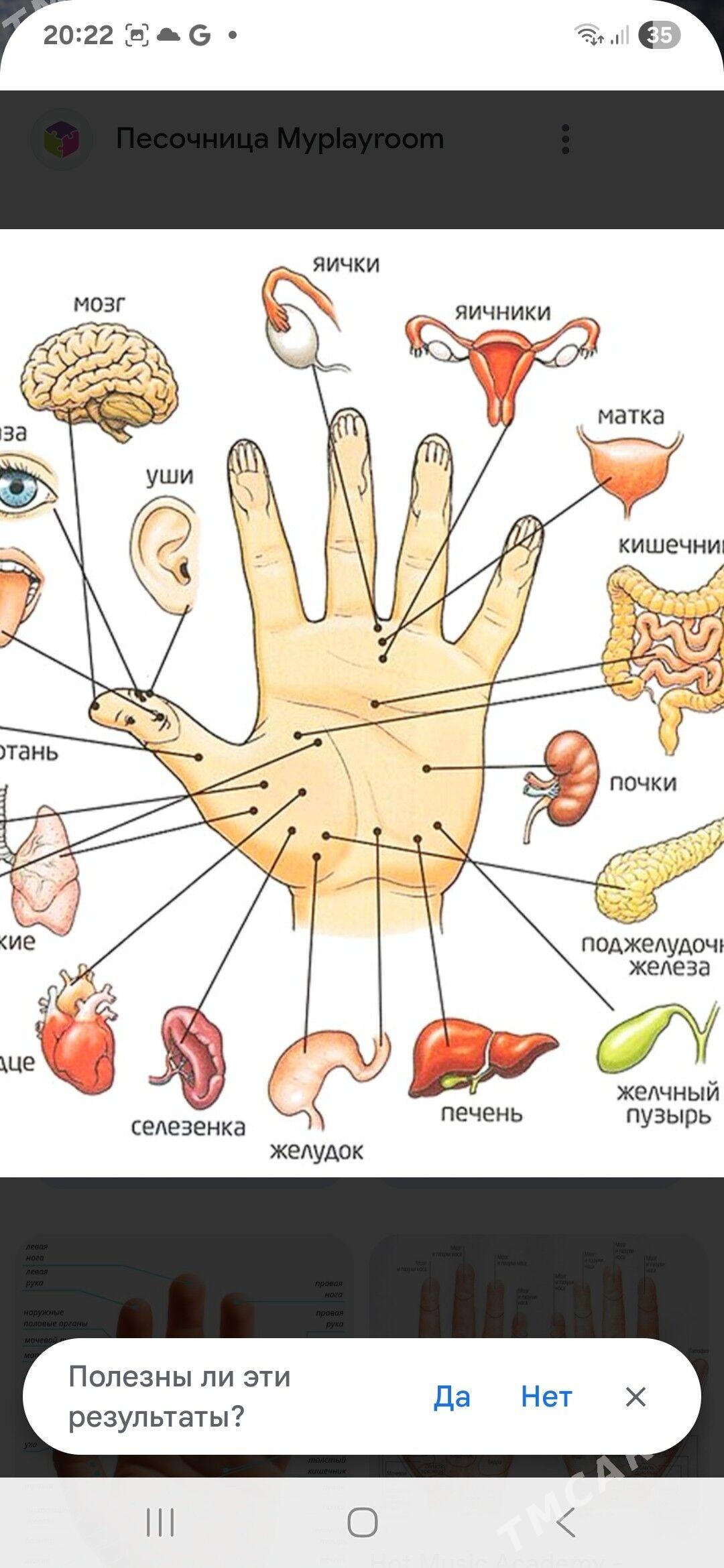 FINEMEDI 24KR.P. MASSAJ̌ ŞARIK - Mary - img 3