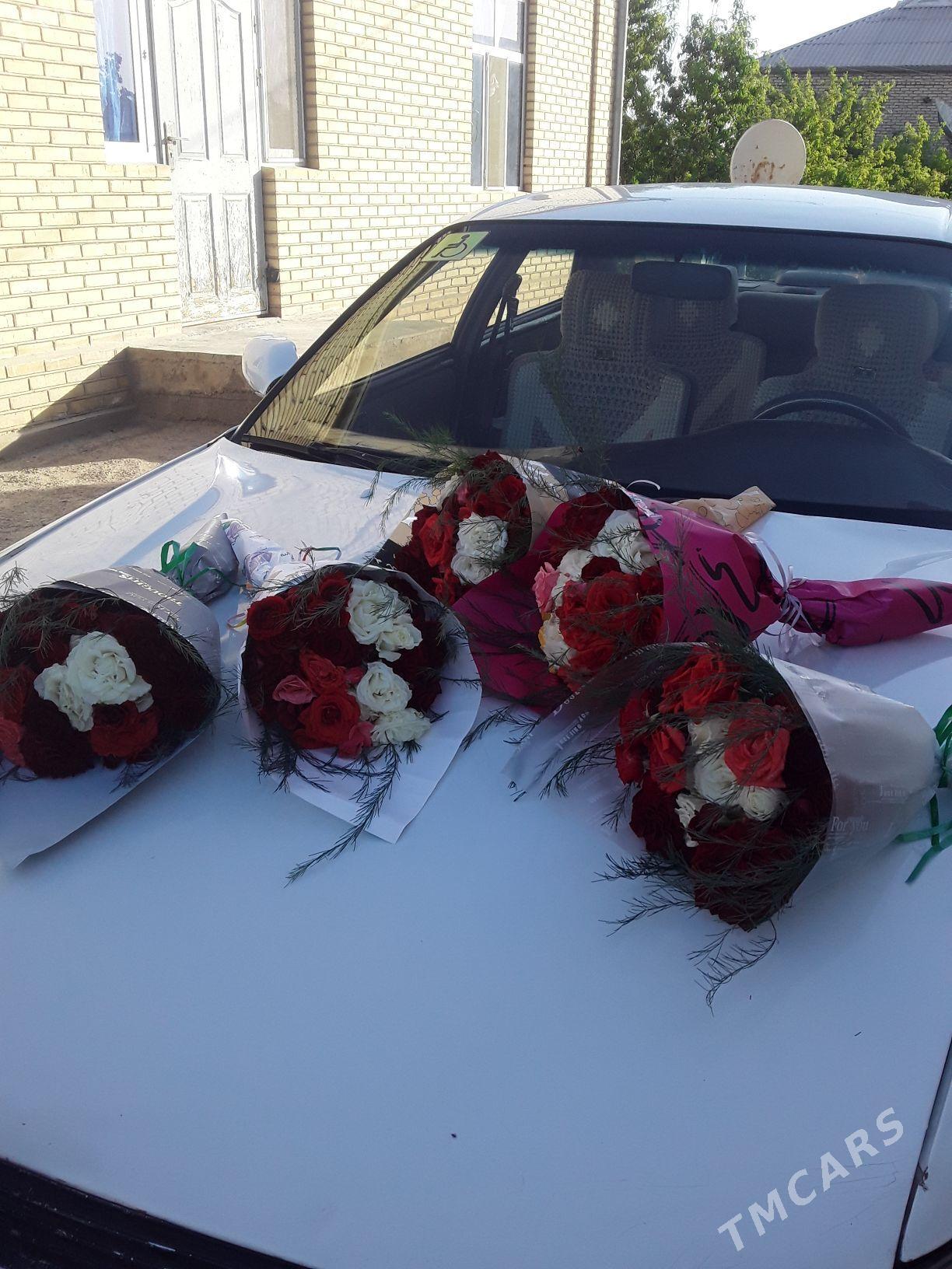 dasary guller - Мары - img 3