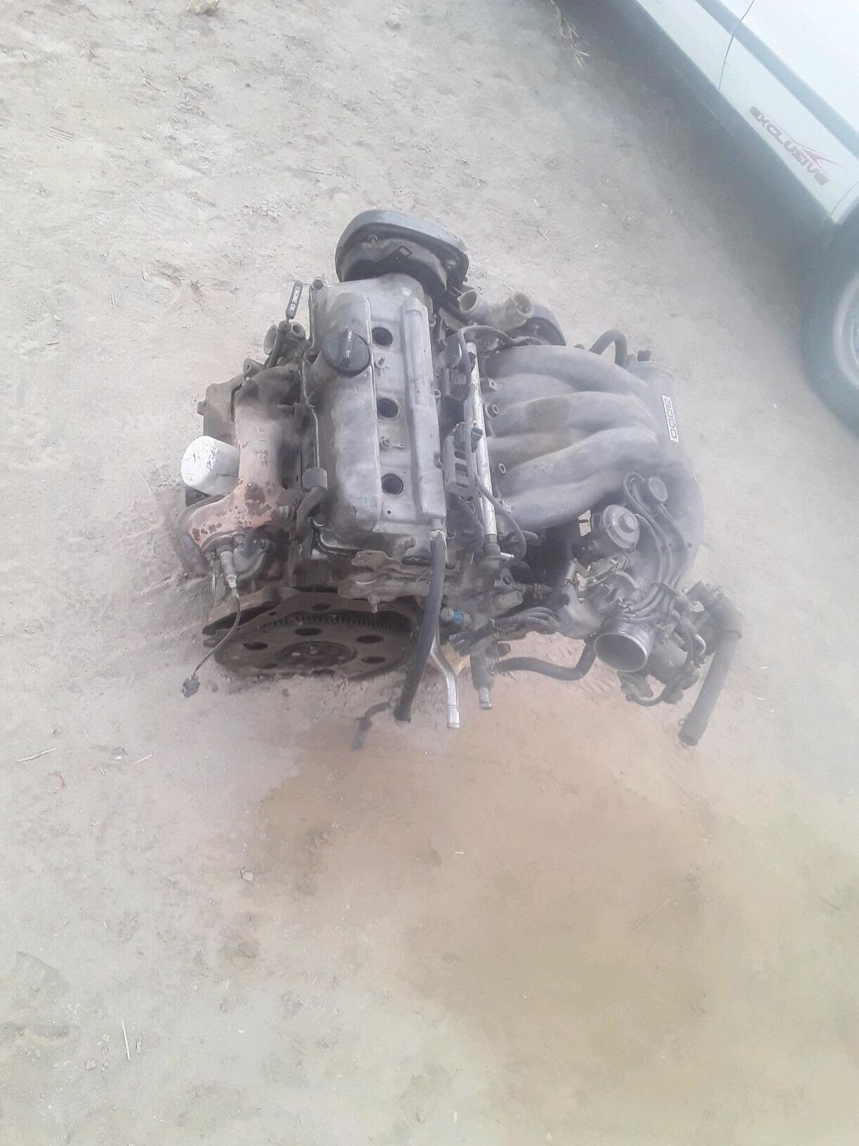 mator windom 1 000 TMT - Гурбансолтан Едже - img 2