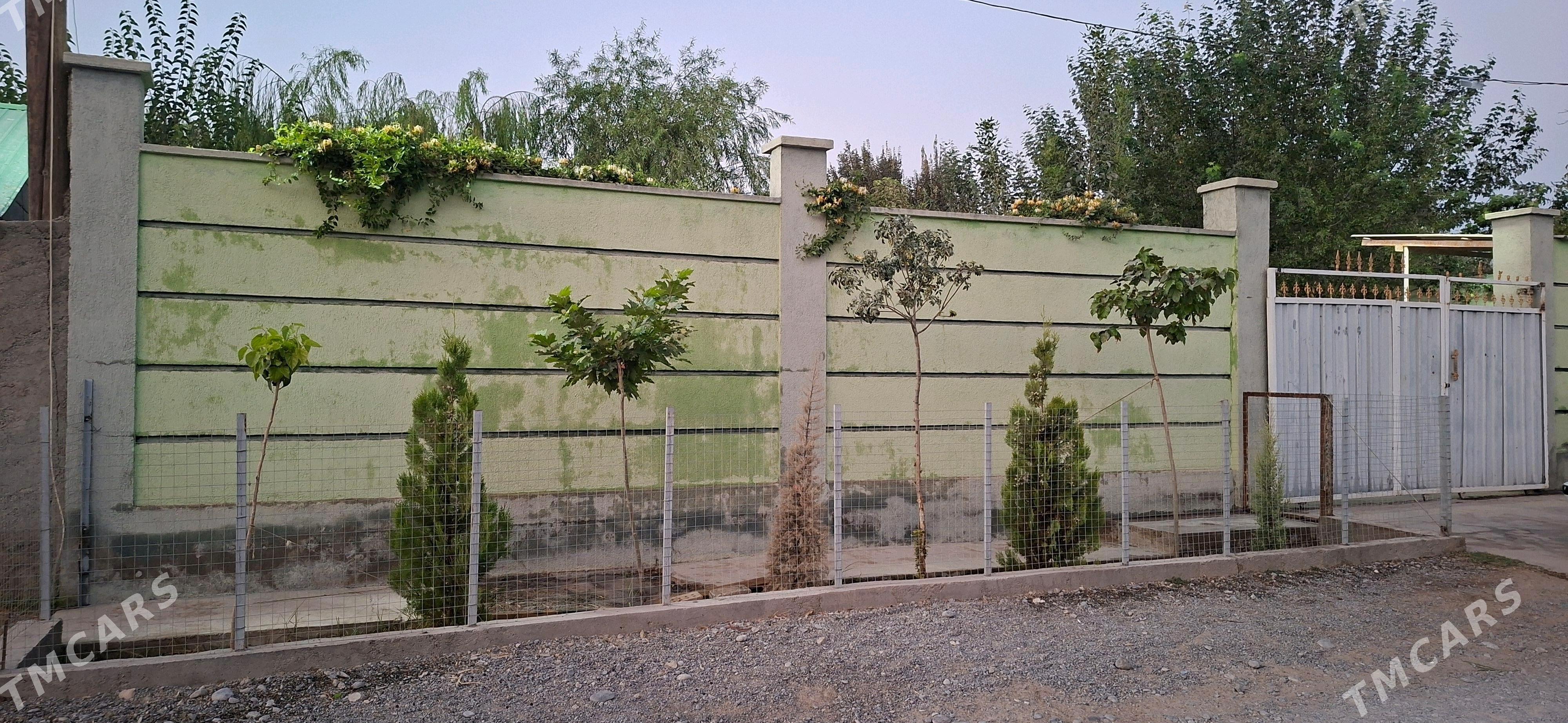 Hywat Daca - Kaka - img 1