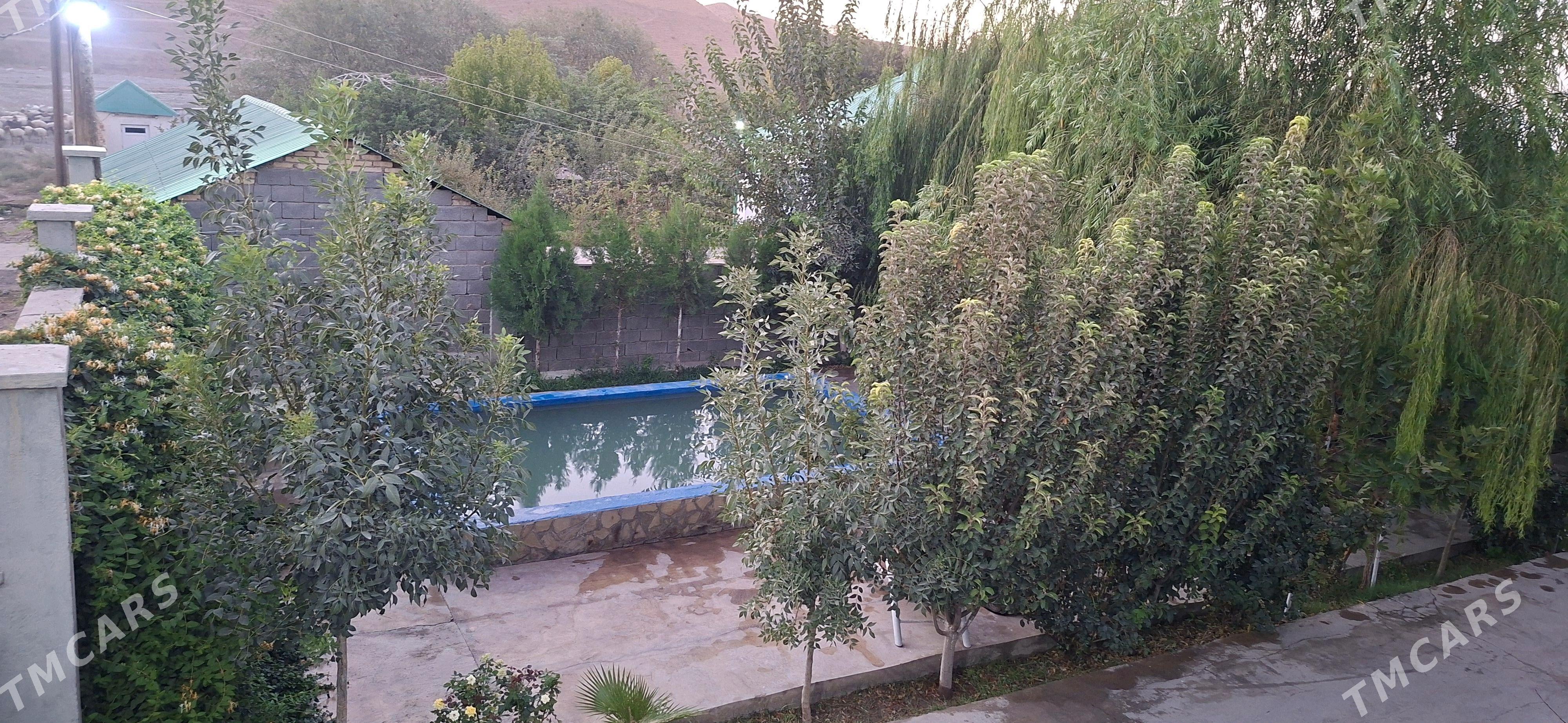 Hywat Daca - Kaka - img 2