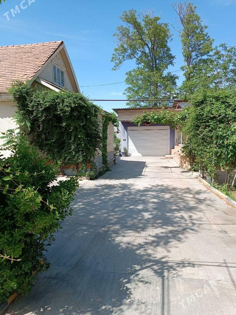 30 mkr howly jay - 30 mkr - img 6