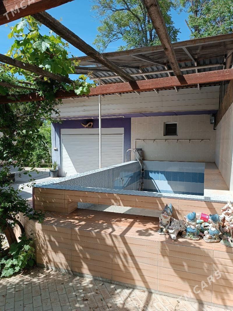 30 mkr howly jay - 30 mkr - img 2