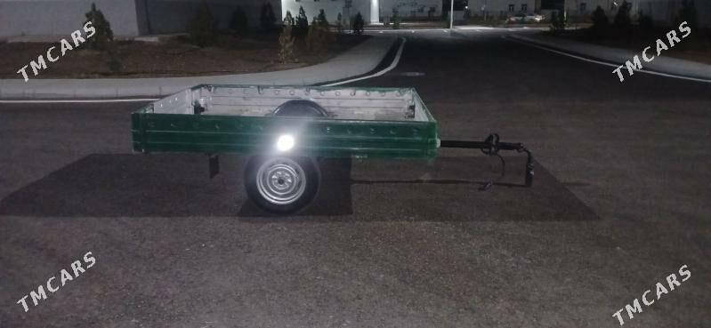 presep - Mary - img 4