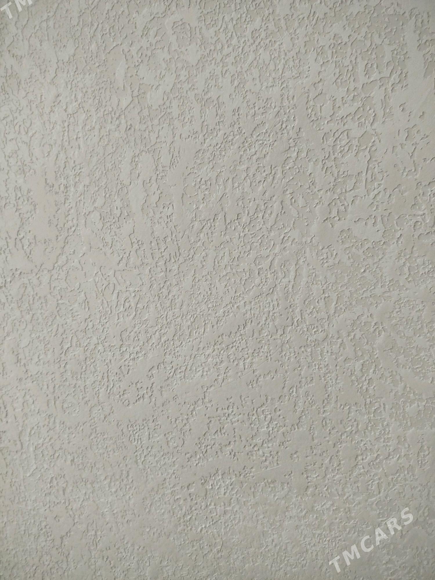 jay remont - Mary - img 2